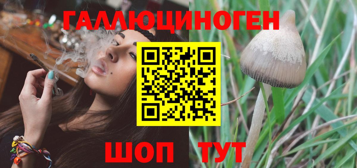 Галлюциногенные грибы MAGIC MUSHROOMS Унеча